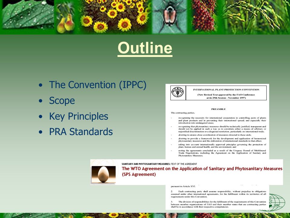 Outline The Convention (IPPC) Scope Key Principles PRA Standards