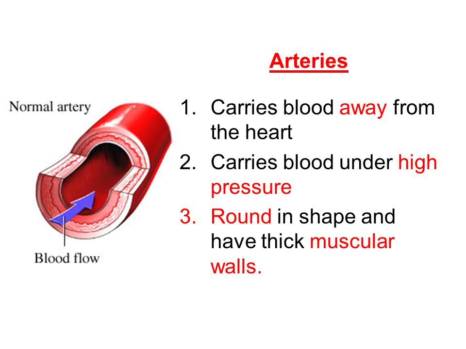 Arteries Carries blood away from the heart. Carries blood under high pressure.