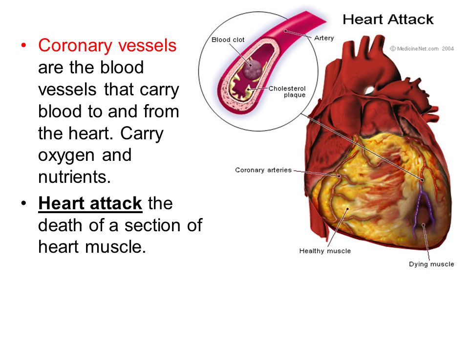 Coronary vessels are the blood vessels that carry blood to and from the heart. Carry oxygen and nutrients.
