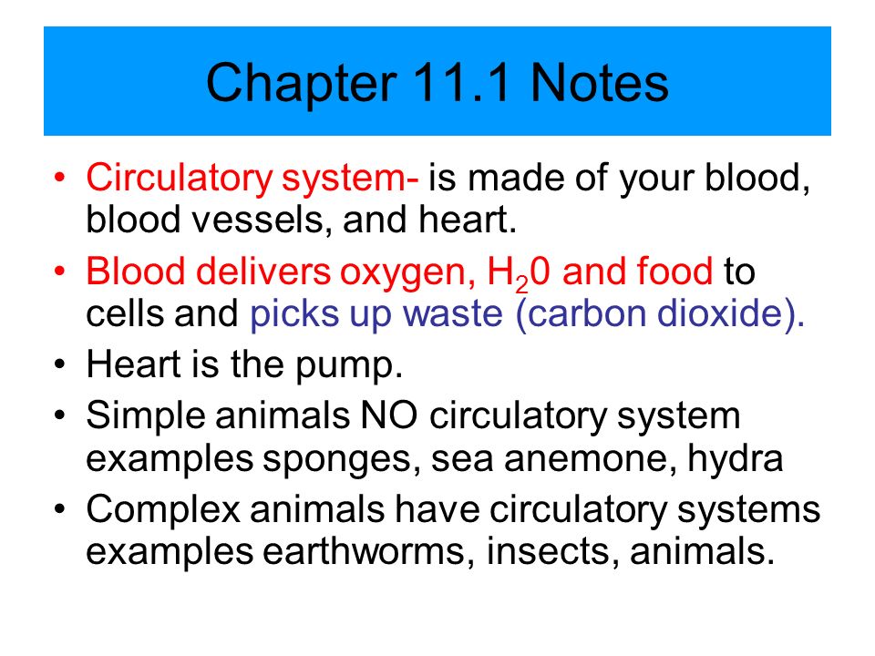 Chapter 11.1 Notes Circulatory system- is made of your blood, blood vessels, and heart.