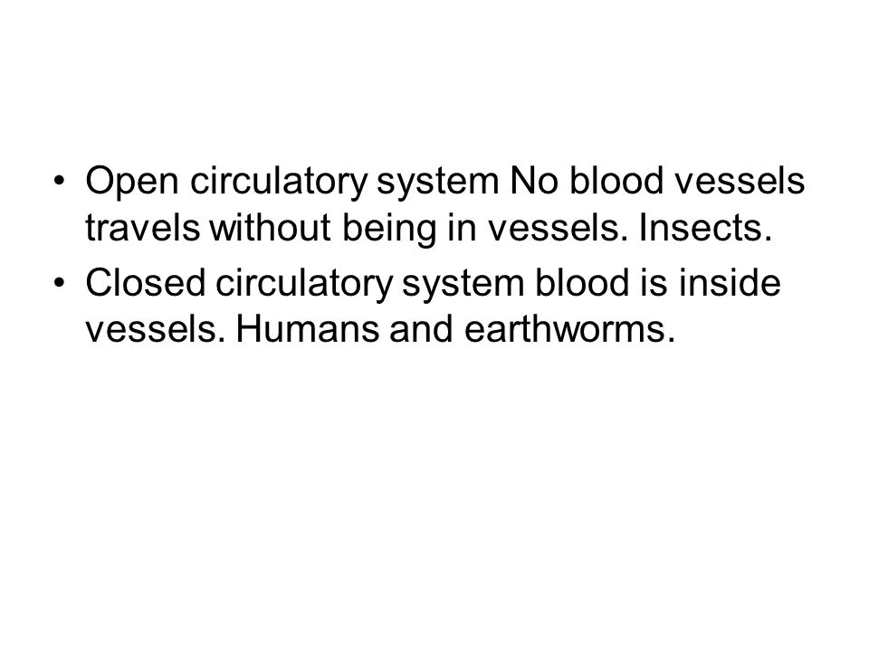 Open circulatory system No blood vessels travels without being in vessels. Insects.