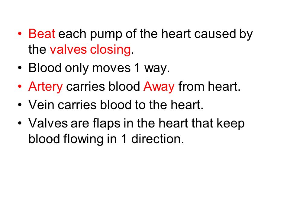 Beat each pump of the heart caused by the valves closing.