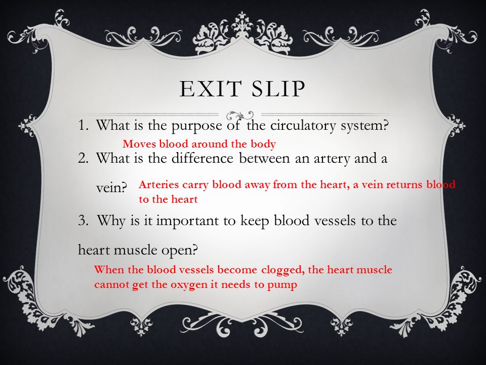 Exit slip What is the purpose of the circulatory system