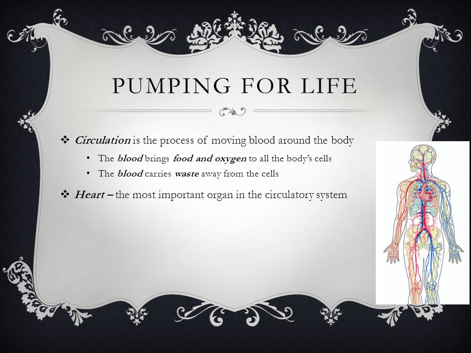 pumping for life Circulation is the process of moving blood around the body. The blood brings food and oxygen to all the body’s cells.