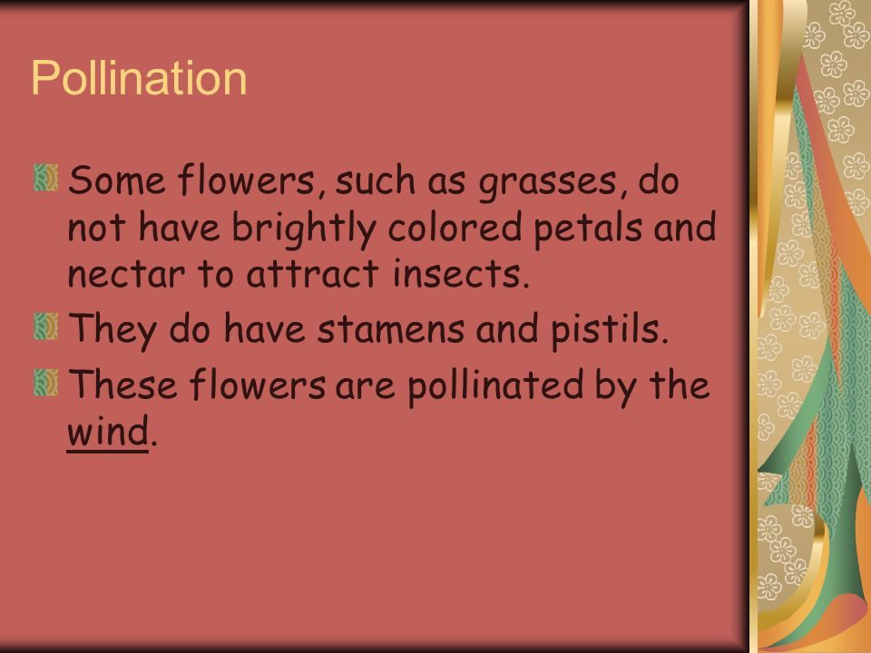 Pollination Some flowers, such as grasses, do not have brightly colored petals and nectar to attract insects.