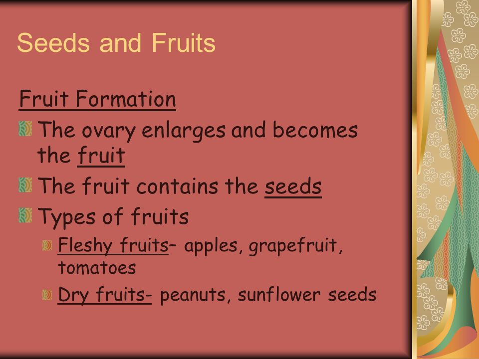 Seeds and Fruits Fruit Formation
