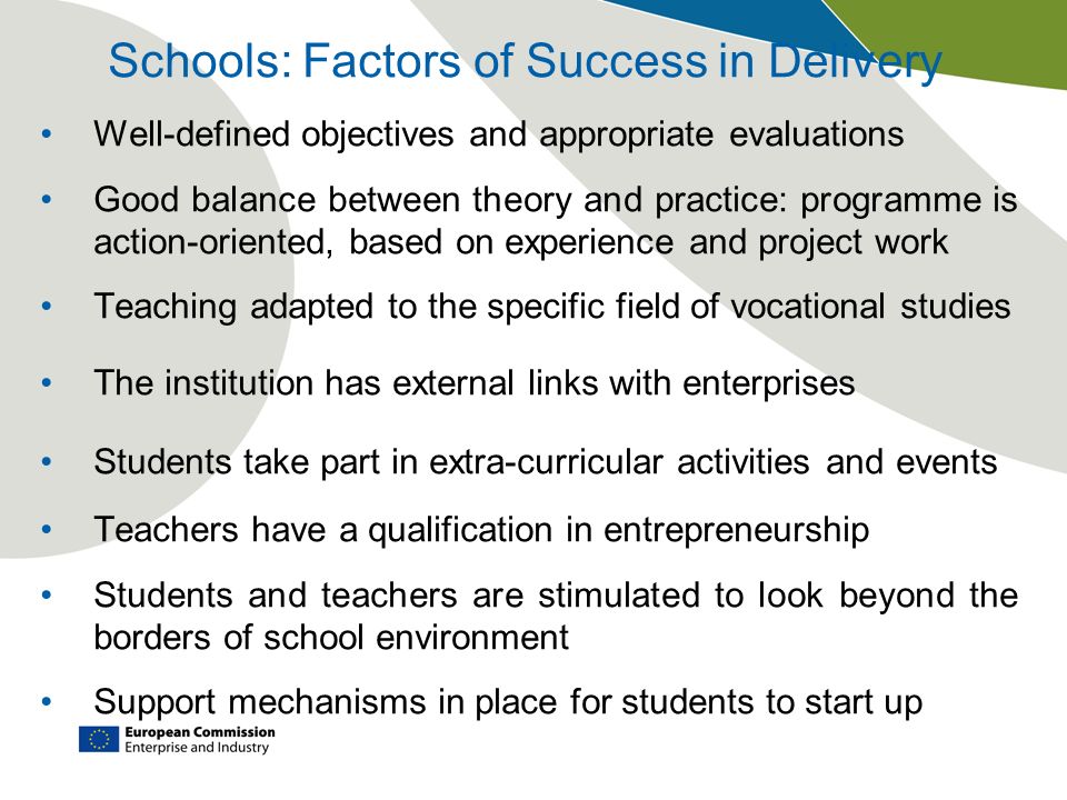 Schools: Factors of Success in Delivery