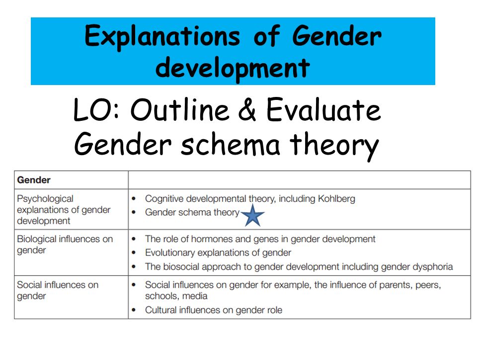 gender schema theory examples