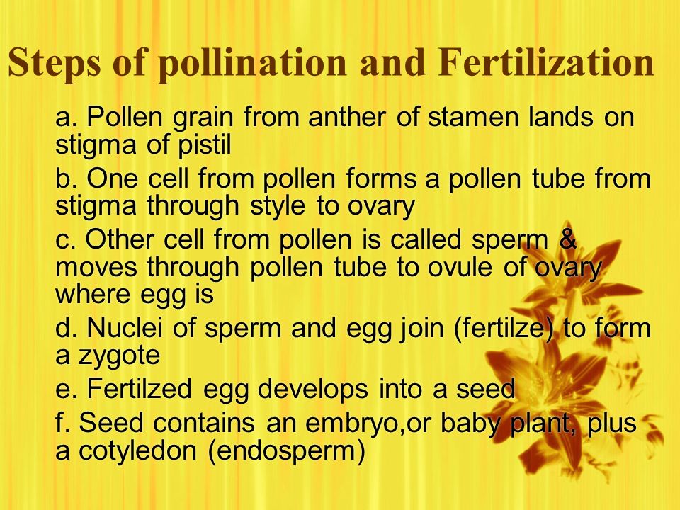 Steps of pollination and Fertilization