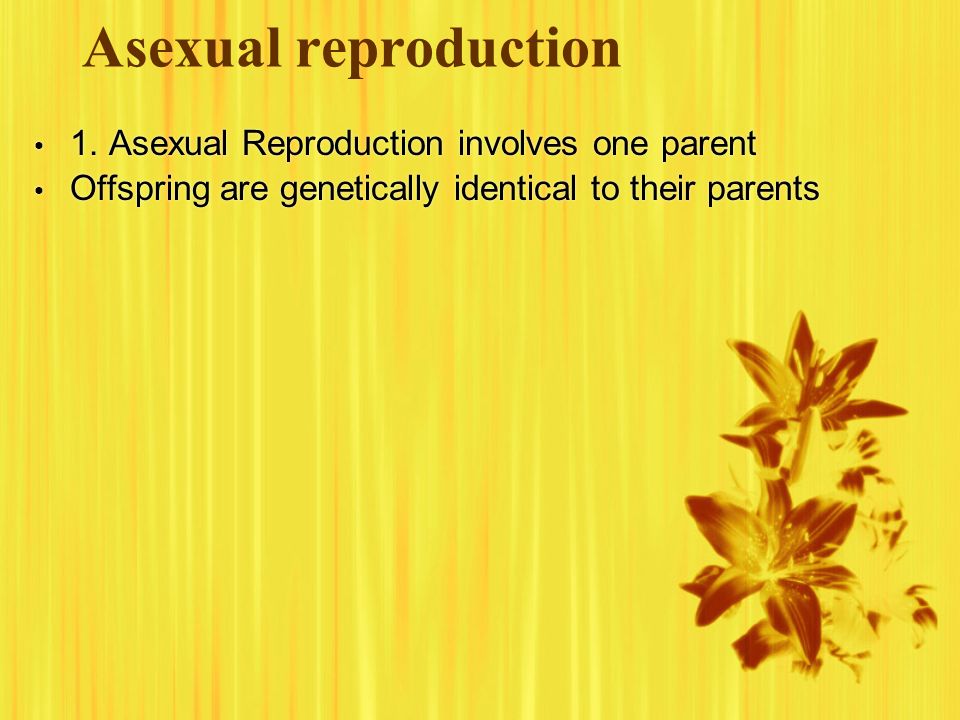 Asexual reproduction 1. Asexual Reproduction involves one parent