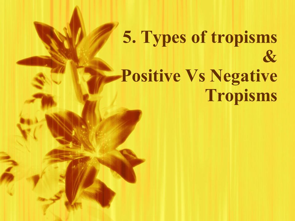 5. Types of tropisms & Positive Vs Negative Tropisms