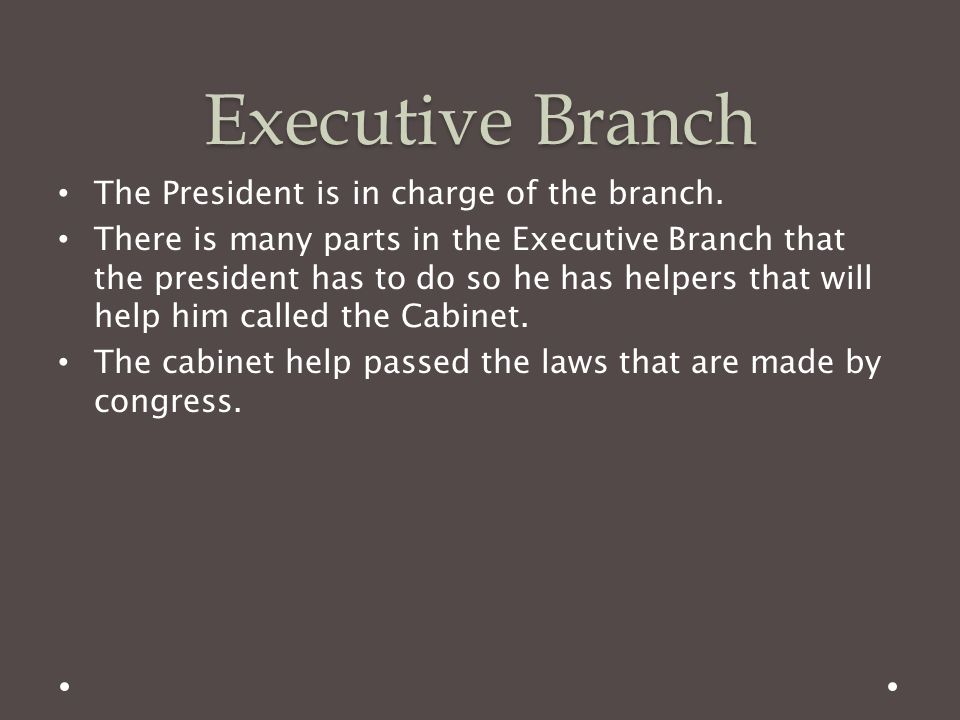 Executive Branch The President is in charge of the branch.