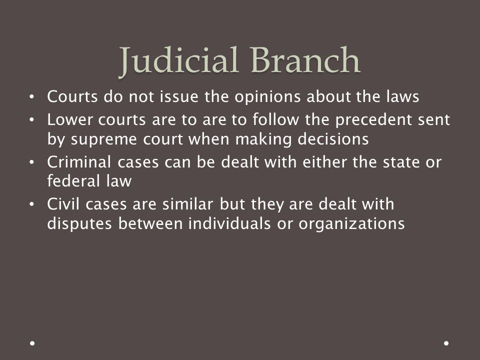 Judicial Branch Courts do not issue the opinions about the laws