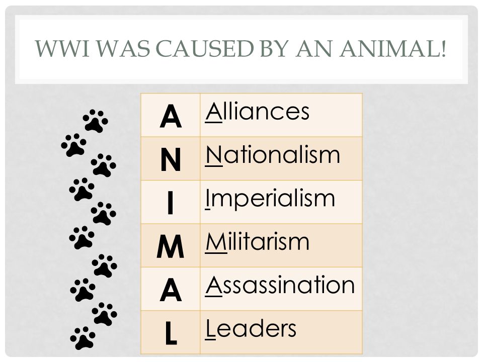 WWI was caused by an ANIMAL!