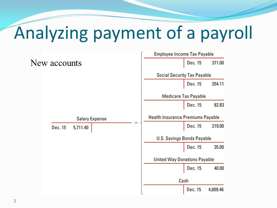 Analyzing payment of a payroll