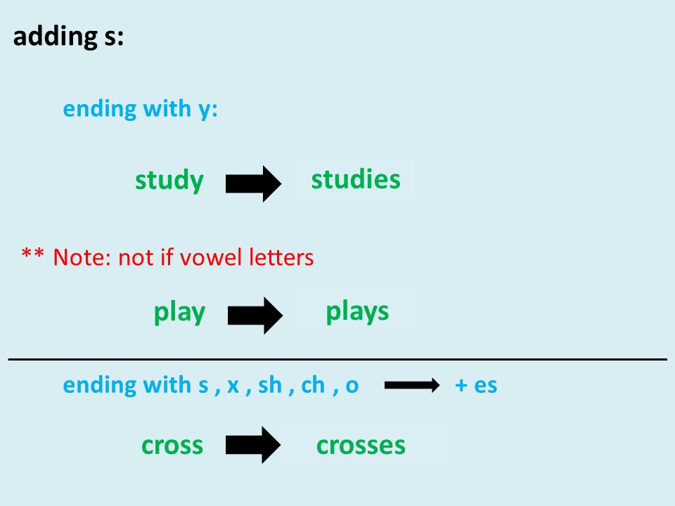 studies plays crosses cross + es