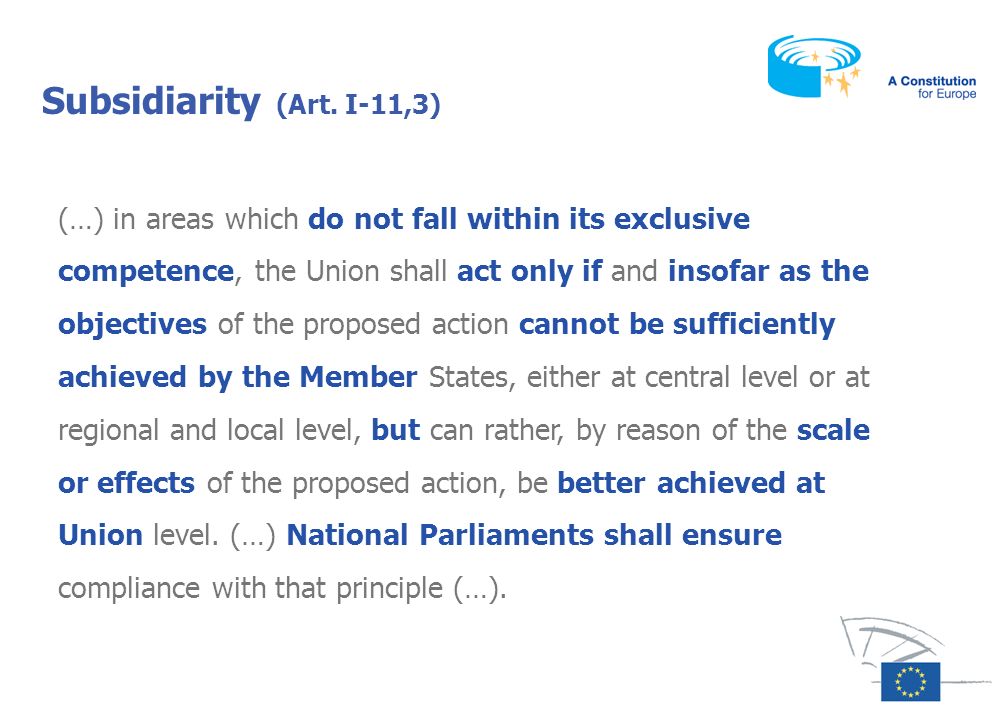 Subsidiarity (Art. I-11,3)