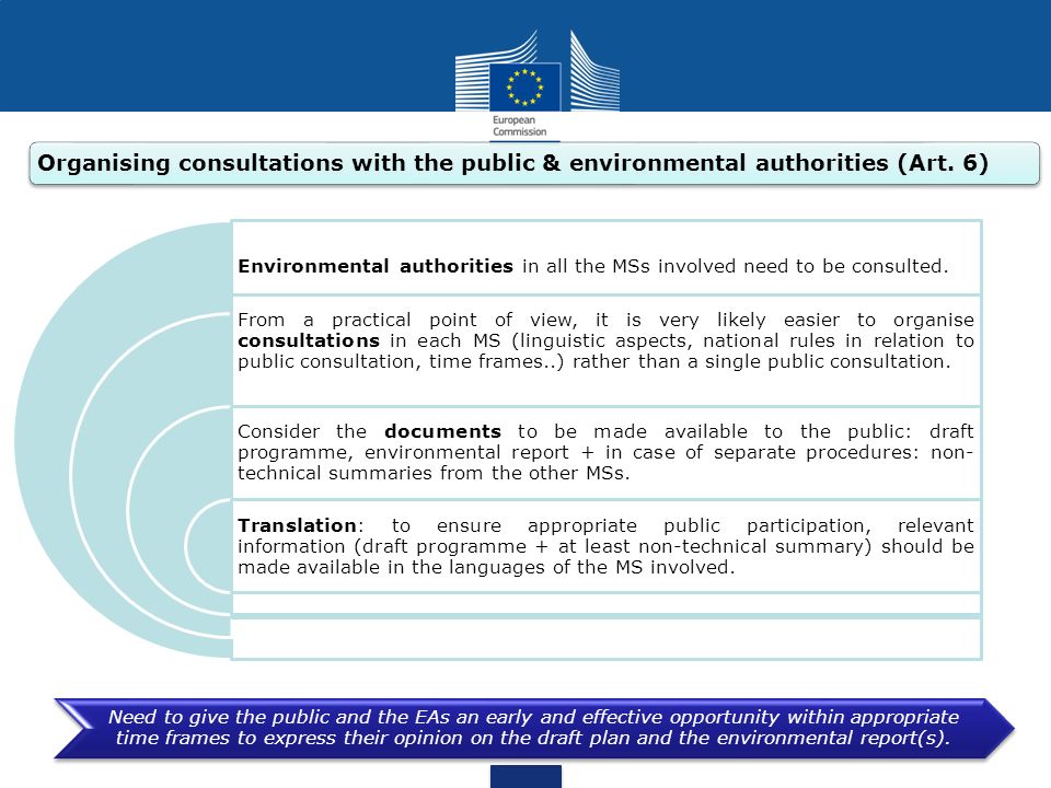 Organising consultations with the public & environmental authorities (Art. 6)