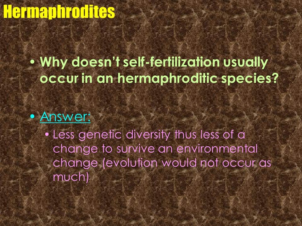 Hermaphrodites Why doesn’t self-fertilization usually occur in an hermaphroditic species Answer: