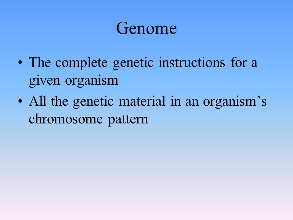 Genome The complete genetic instructions for a given organism