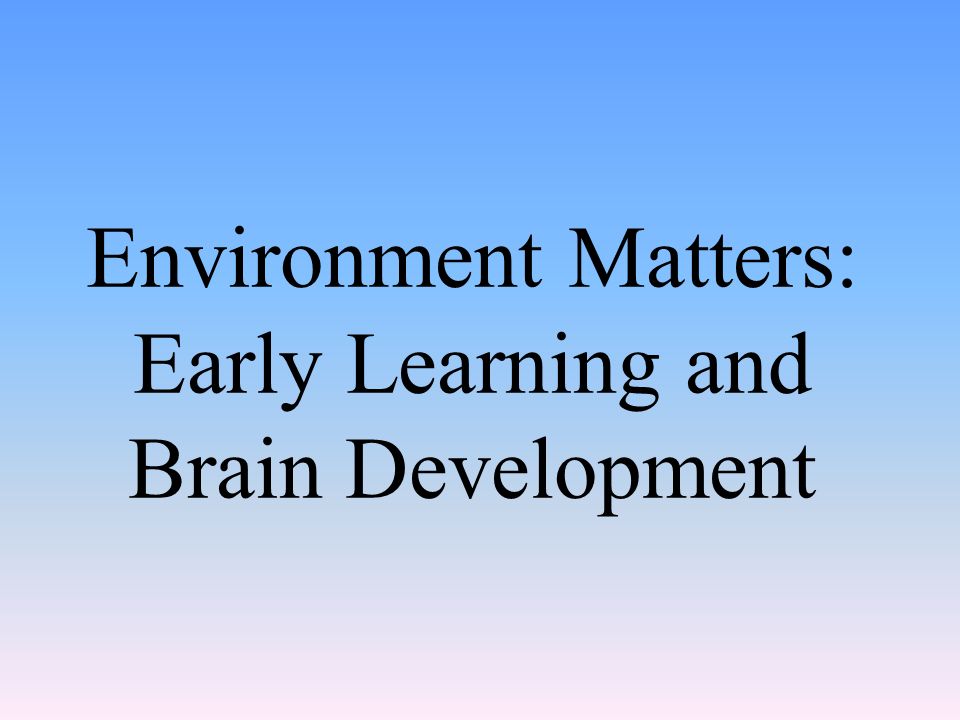 Environment Matters: Early Learning and Brain Development
