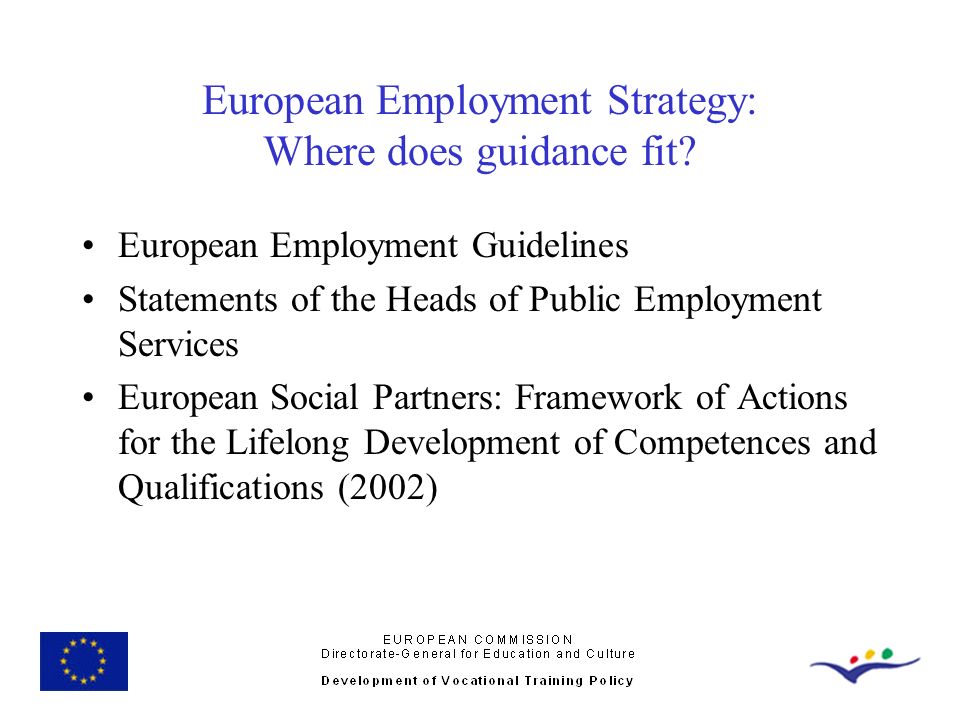 European Employment Strategy: Where does guidance fit