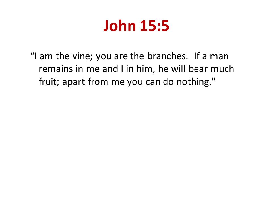 John 15:5 I am the vine; you are the branches.