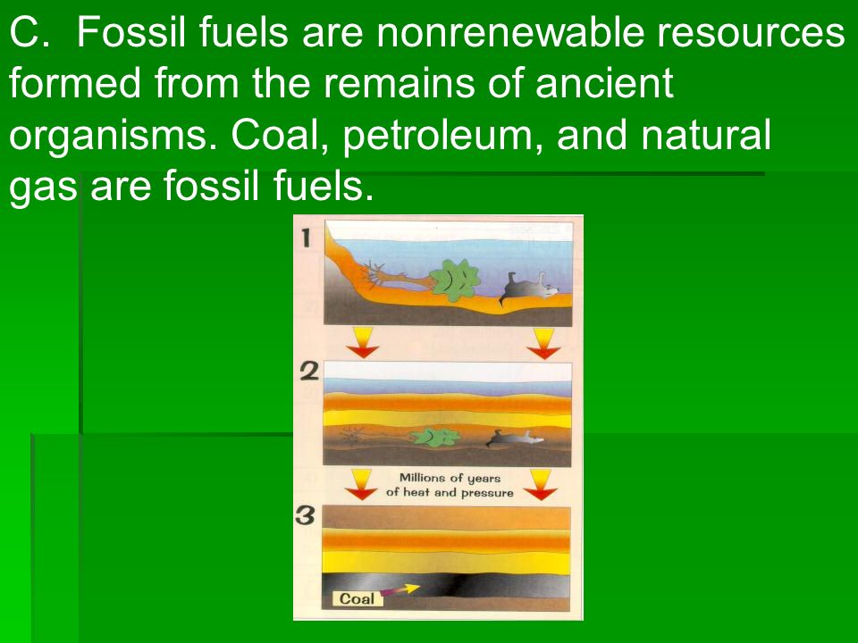 C. Fossil fuels are nonrenewable resources formed from the remains of ancient organisms.