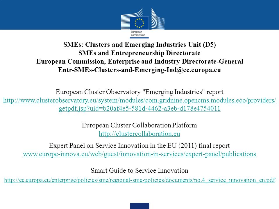 SMEs: Clusters and Emerging Industries Unit (D5)