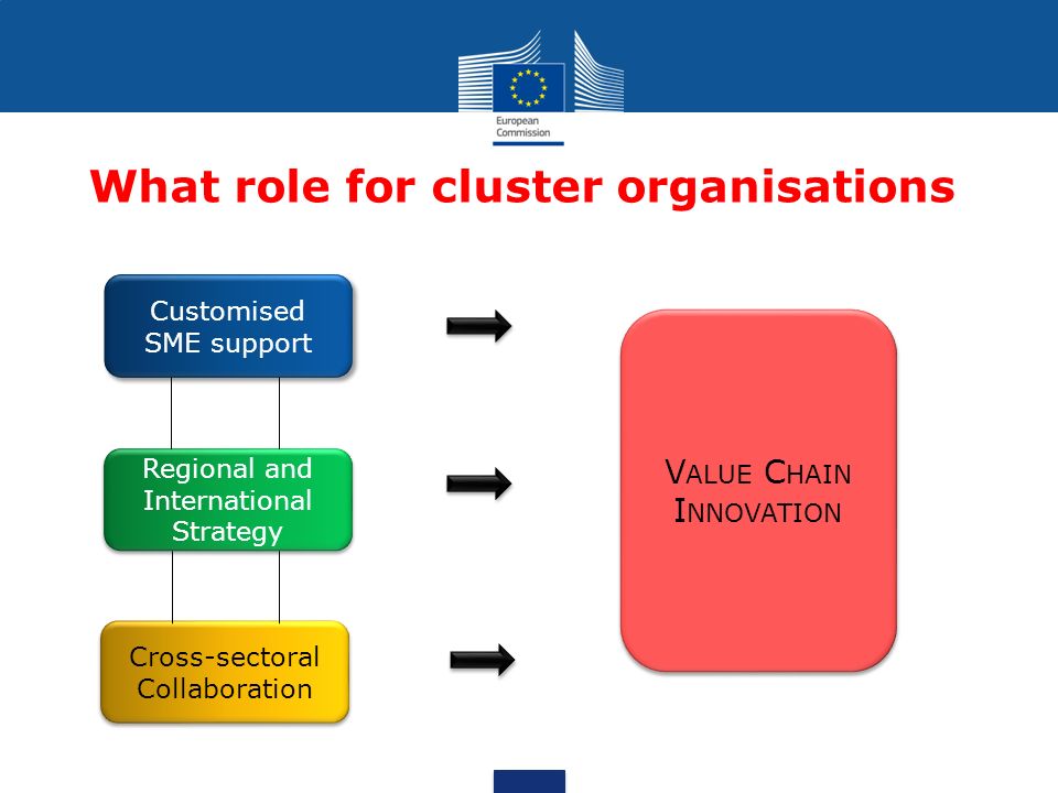 What role for cluster organisations