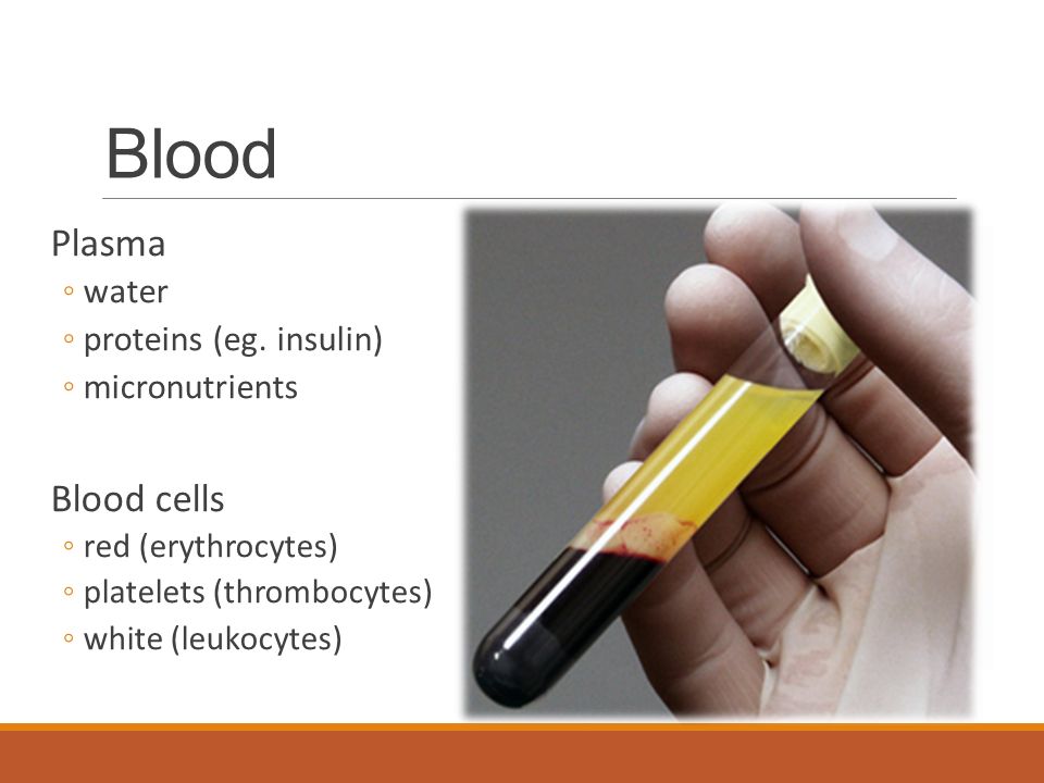 Blood Plasma Blood cells water proteins (eg. insulin) micronutrients