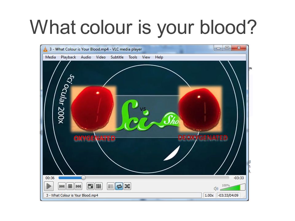 What colour is your blood