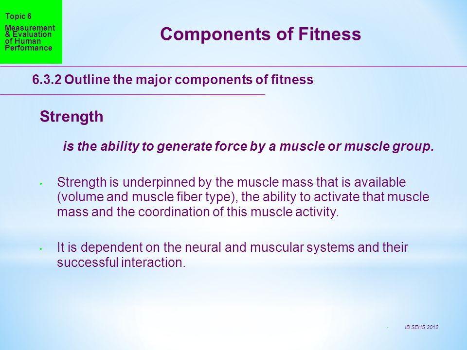 Components of Fitness Strength