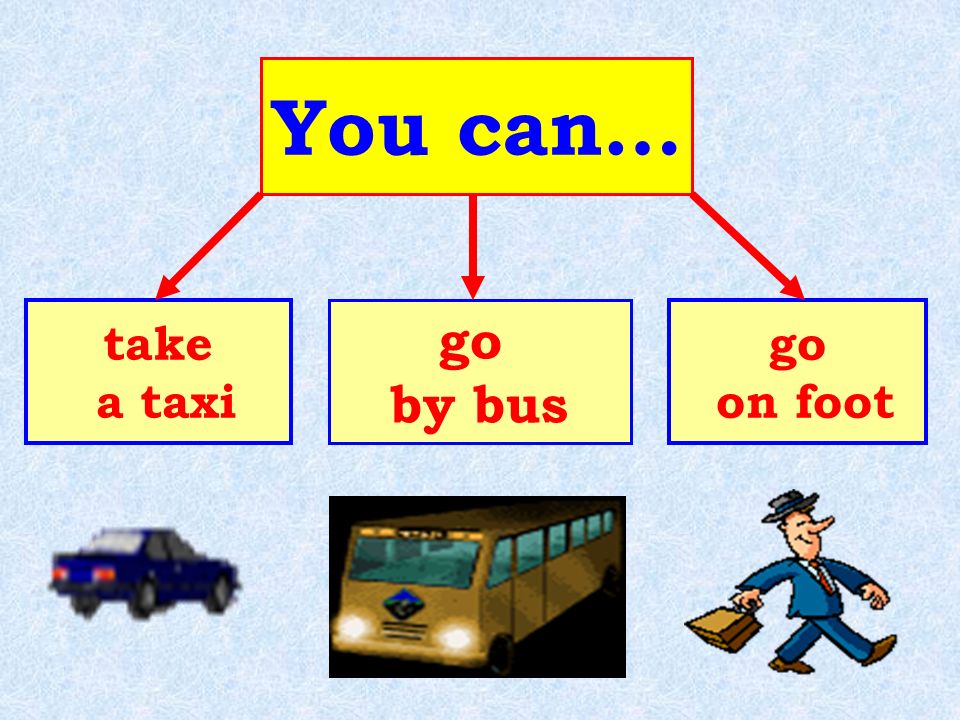 You can… take a taxi go by bus go on foot
