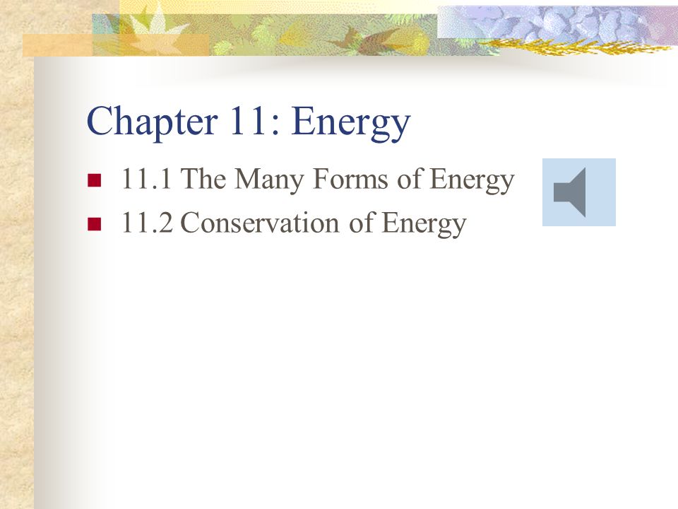 Chapter 11: Energy 11.1 The Many Forms of Energy