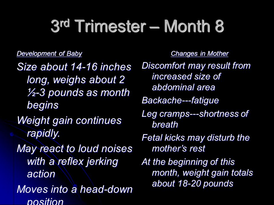 3rd Trimester – Month 8 Development of Baby. Size about inches long, weighs about 2 ½-3 pounds as month begins.