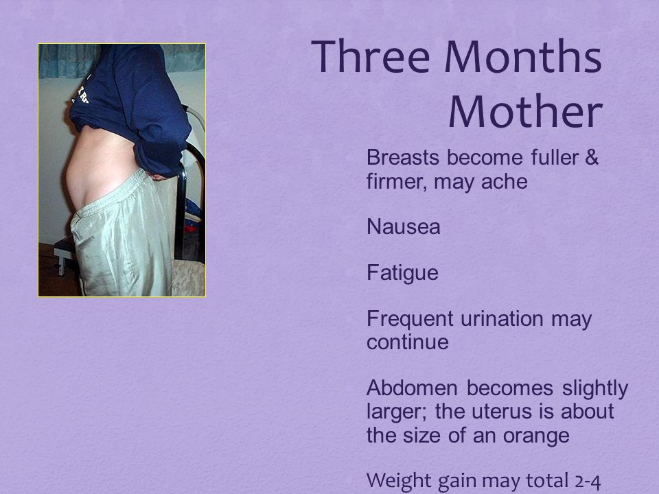 Three Months Mother Breasts become fuller & firmer, may ache Nausea
