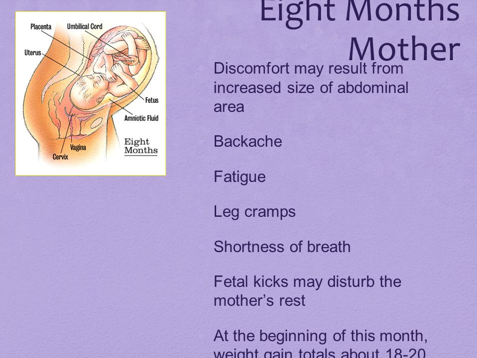 Eight Months Mother Discomfort may result from increased size of abdominal area. Backache. Fatigue.