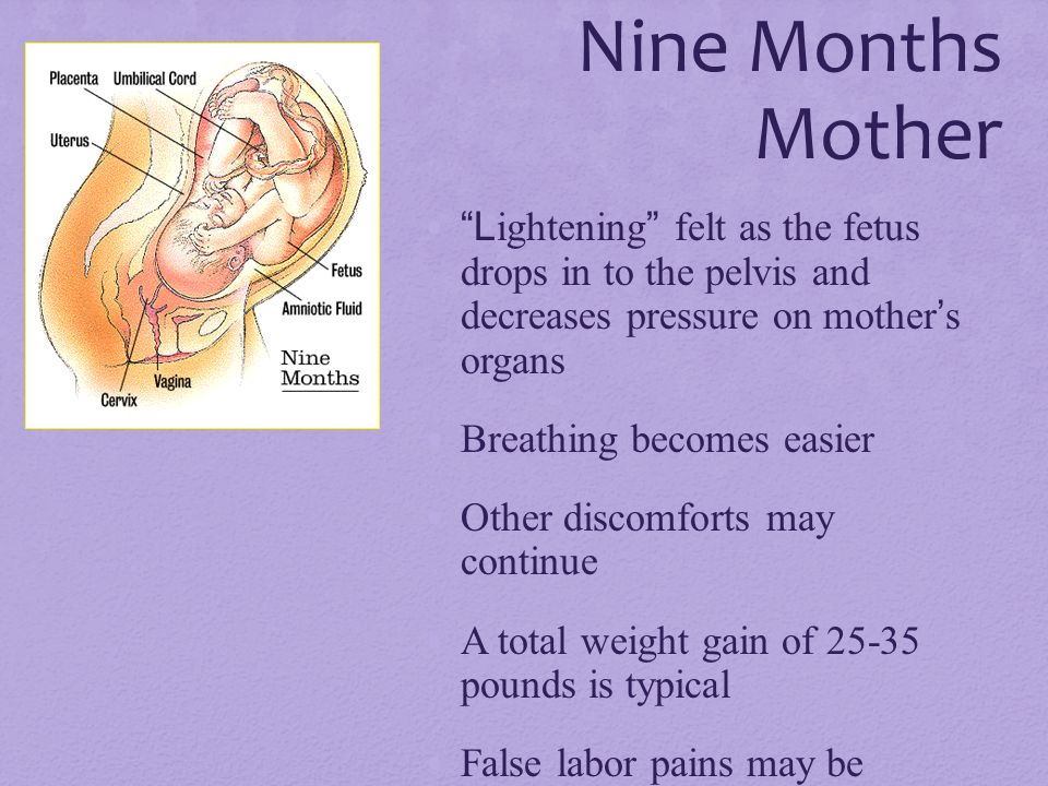 Nine Months Mother Lightening felt as the fetus drops in to the pelvis and decreases pressure on mother’s organs.