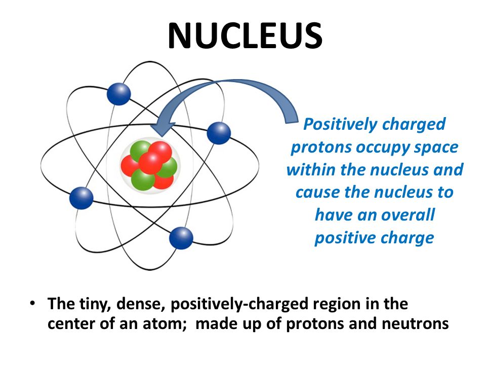 NUCLEUS Positively charged protons occupy space within the nucleus and cause the nucleus to have an overall positive charge.