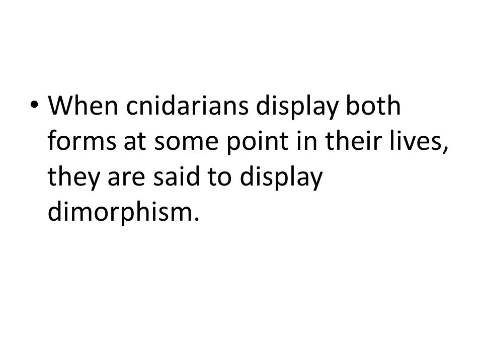 When cnidarians display both forms at some point in their lives, they are said to display dimorphism.