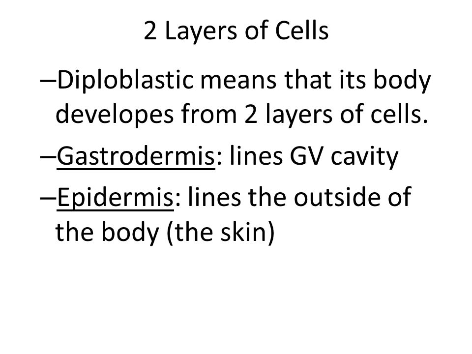 2 Layers of Cells Diploblastic means that its body developes from 2 layers of cells. Gastrodermis: lines GV cavity.