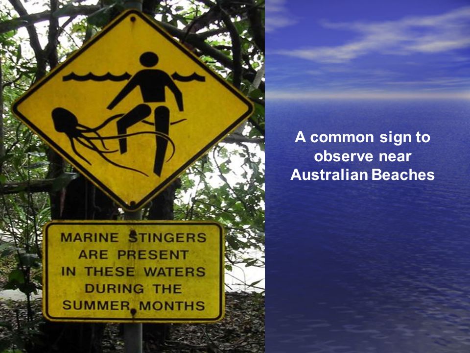 A common sign to observe near Australian Beaches