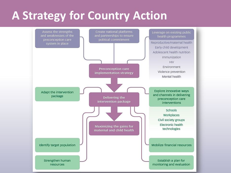 A Strategy for Country Action