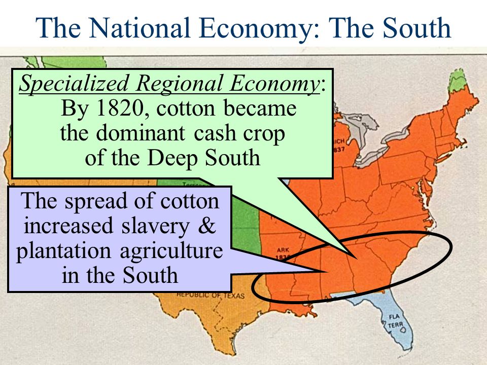 The National Economy: The South