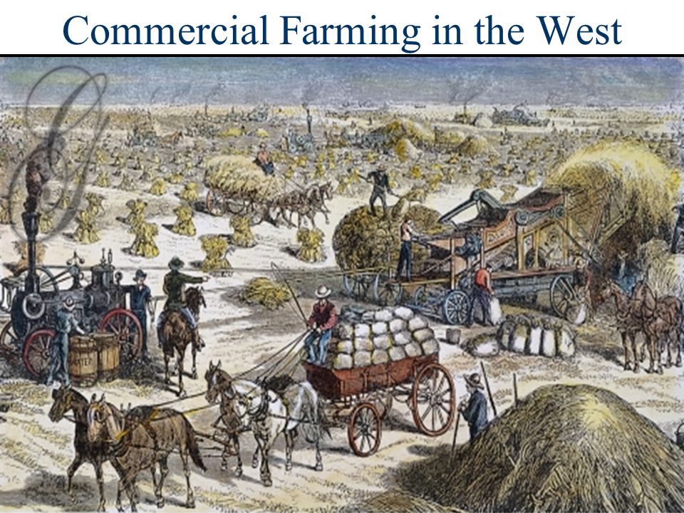 Commercial Farming in the West
