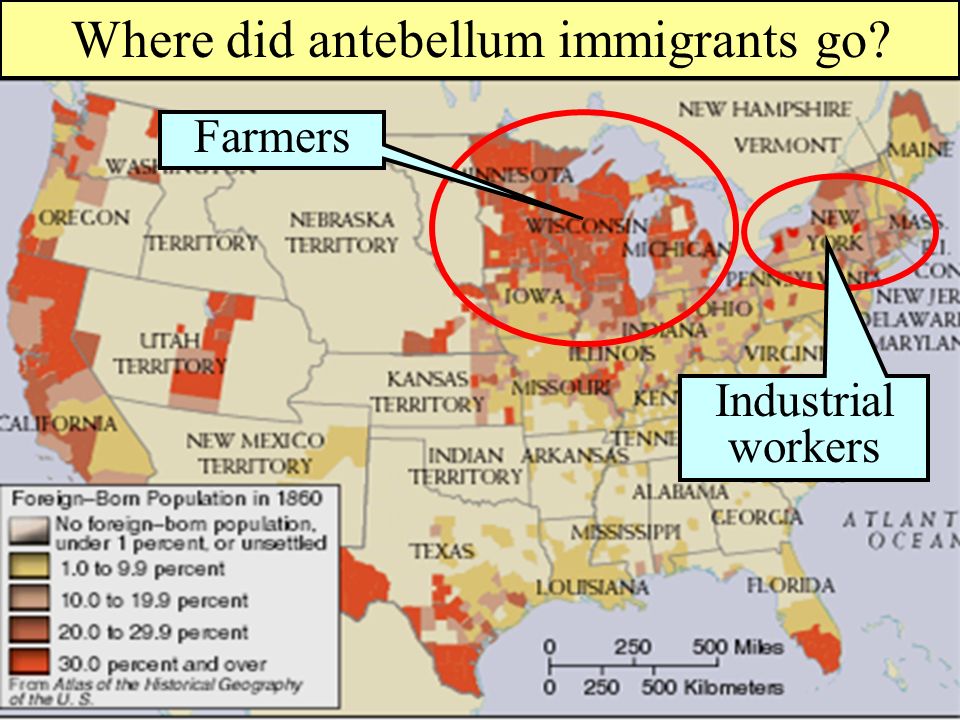 Where did antebellum immigrants go