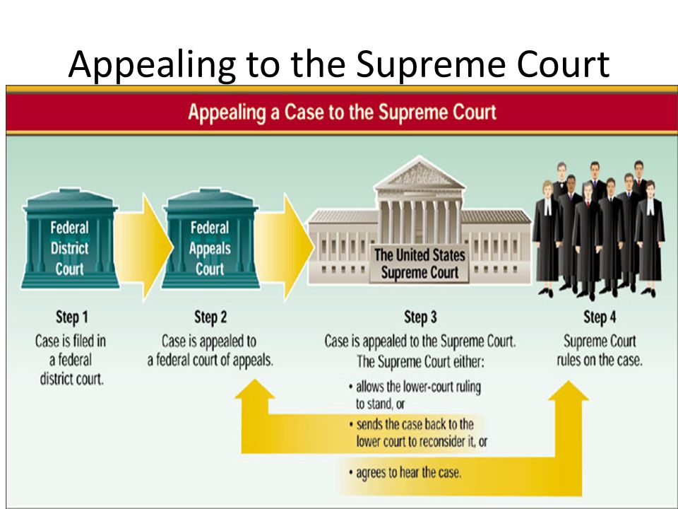 Appealing to the Supreme Court