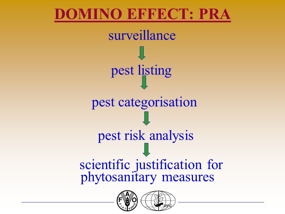 DOMINO EFFECT: PRA surveillance pest listing pest categorisation