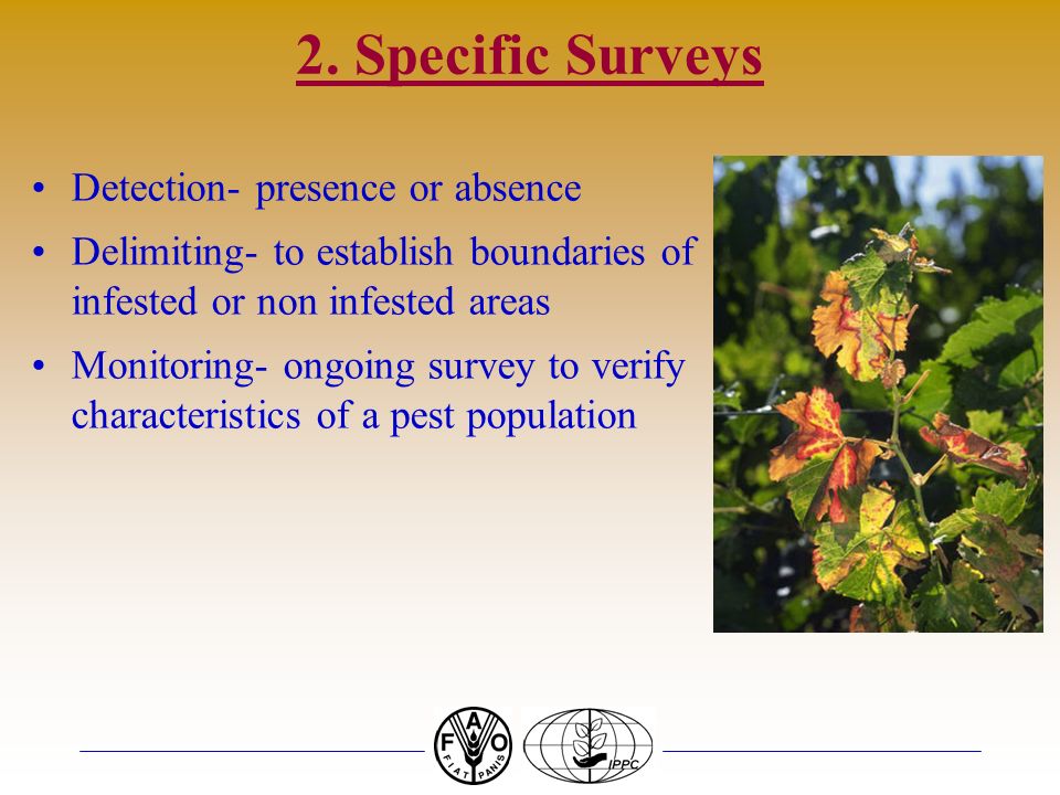 2. Specific Surveys Detection- presence or absence